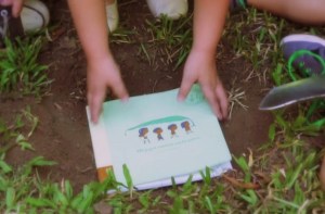 tree-book-tree-plant-968x637