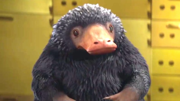 niffler