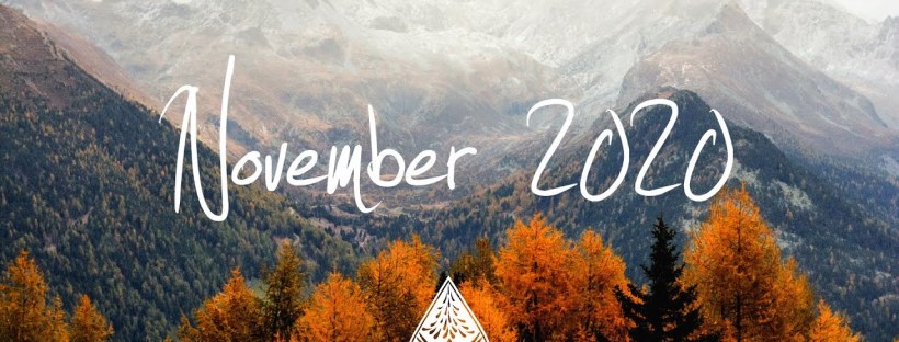 alivreouvert.net novembre 2020