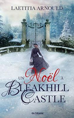 Un Noël à Bleakhill Castle