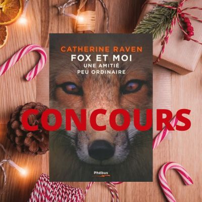 CONCOURS-Décembre-2021