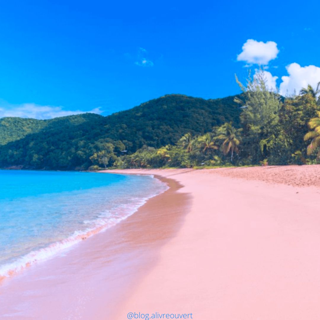Livres-été-2024-plage-sable-rose