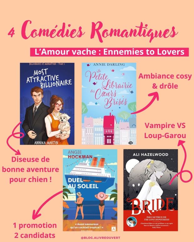 5 comédies romantiques : Ennemies to Lovers - Alivreouvert